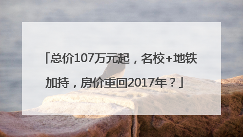 总价107万元起，名校+地铁加持，房价重回2017年？