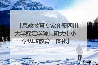 思政教育专家齐聚四川大学锦江学院共研大中小学思政教育一体化