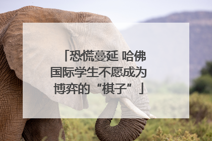 恐慌蔓延 哈佛国际学生不愿成为博弈的“棋子”