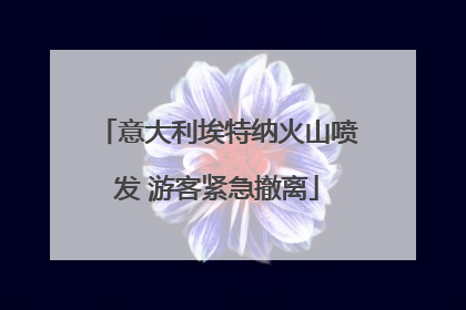 意大利埃特纳火山喷发 游客紧急撤离