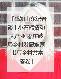 感知山东记者谈丨小石榴撬动大产业 枣庄破局乡村发展难题 书写乡村共富答卷