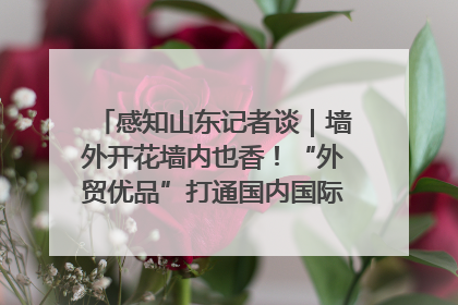 感知山东记者谈｜墙外开花墙内也香！“外贸优品”打通国内国际市场“旋转门”
