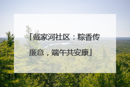 戴家河社区：粽香传廉意，端午共安康