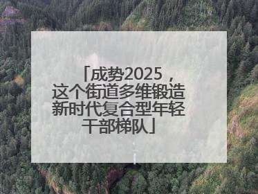 成势2025，这个街道多维锻造新时代复合型年轻干部梯队