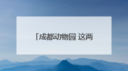 成都动物园 这两只黑猩猩萌宝陪你过“六一”｜图集
