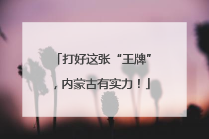 打好这张“王牌”，内蒙古有实力！