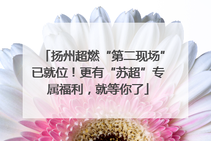 扬州超燃“第二现场”已就位！更有“苏超”专属福利，就等你了