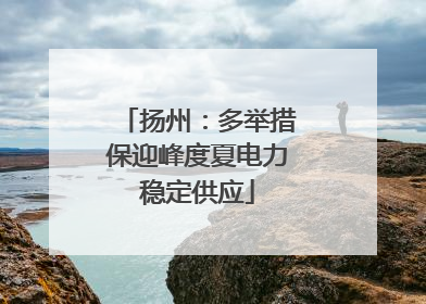 扬州：多举措保迎峰度夏电力稳定供应
