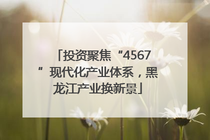 投资聚焦“4567”现代化产业体系，黑龙江产业换新景