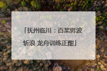 抚州临川：百桨劈波斩浪 龙舟训练正酣