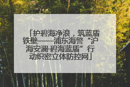 护碧海净浪，筑蓝盾铁壁——浦东海警“沪海安澜·碧海蓝盾”行动织密立体防控网