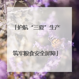 护航“三夏”生产 筑牢粮食安全屏障