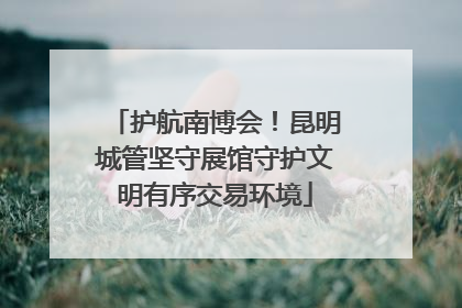 护航南博会！昆明城管坚守展馆守护文明有序交易环境