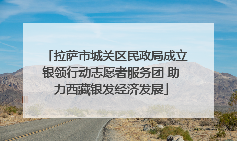 拉萨市城关区民政局成立银领行动志愿者服务团 助力西藏银发经济发展