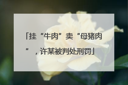 挂“牛肉”卖“母猪肉”，许某被判处刑罚