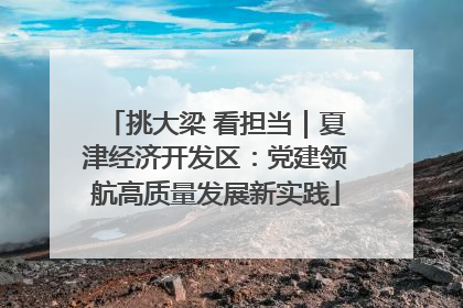 挑大梁 看担当｜夏津经济开发区：党建领航高质量发展新实践