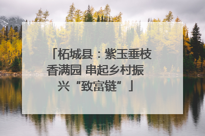 柘城县：紫玉垂枝香满园 串起乡村振兴“致富链”