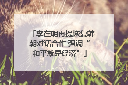 李在明再提恢复韩朝对话合作 强调“和平就是经济”
