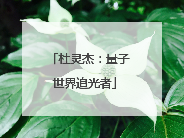 杜灵杰：量子世界追光者