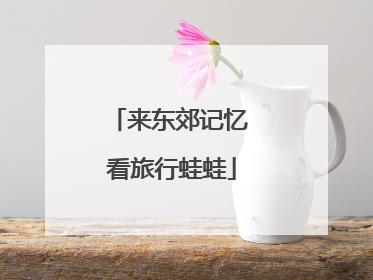 来东郊记忆 看旅行蛙蛙