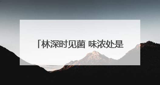 林深时见菌 味浓处是宴 晋宁菌宴正飘香
