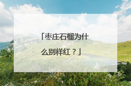 枣庄石榴为什么别样红？