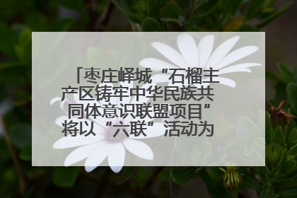 枣庄峄城“石榴主产区铸牢中华民族共同体意识联盟项目”将以“六联”活动为抓手深化品牌建设