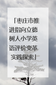 枣庄市推进指向立德树人小学英语评价变革实践探索