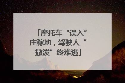 摩托车“误入”庄稼地，驾驶人“撒泼”终难逃