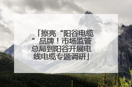 擦亮“阳谷电缆”品牌！市场监管总局到阳谷开展电线电缆专题调研