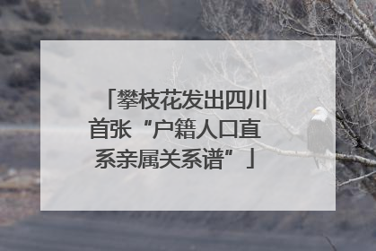 攀枝花发出四川首张“户籍人口直系亲属关系谱”
