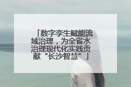 数字孪生赋能流域治理，为全省水治理现代化实践贡献“长沙智慧”