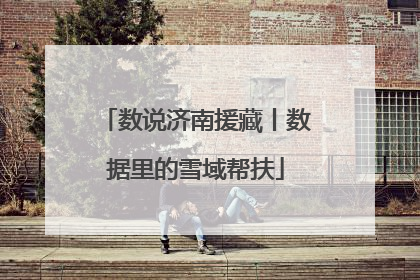数说济南援藏丨数据里的雪域帮扶