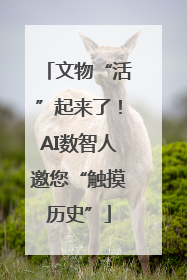 文物“活”起来了！AI数智人邀您“触摸历史”