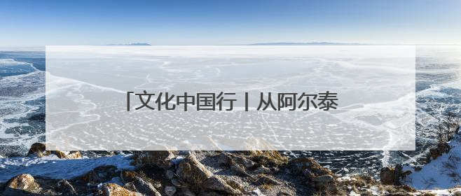 文化中国行丨从阿尔泰山到昆仑山 新疆岩壁上的“朋友圈”画的啥