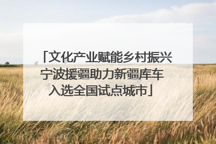 文化产业赋能乡村振兴 宁波援疆助力新疆库车入选全国试点城市