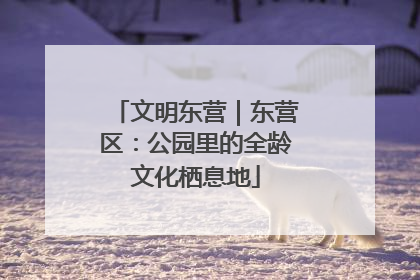 文明东营｜东营区：公园里的全龄文化栖息地
