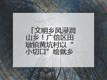 文明乡风浸润山乡！广信区田墩镇黄坑村以“小切口”绘就乡村振兴大图景