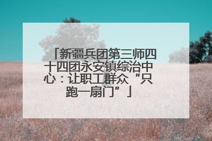 新疆兵团第三师四十四团永安镇综治中心：让职工群众“只跑一扇门”