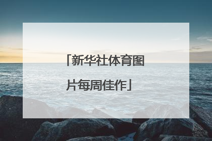 新华社体育图片每周佳作