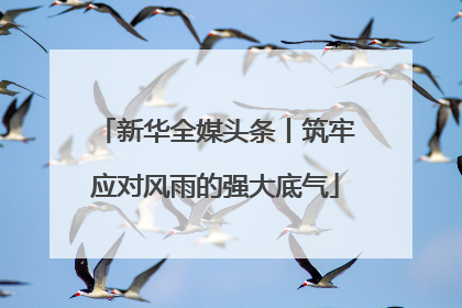 新华全媒头条丨筑牢应对风雨的强大底气