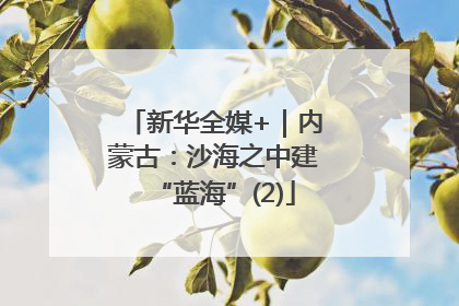 新华全媒+｜内蒙古：沙海之中建“蓝海”(2)