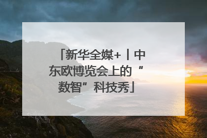 新华全媒+丨中东欧博览会上的“数智”科技秀
