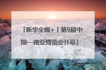 新华全媒+丨第9届中国—南亚博览会开幕