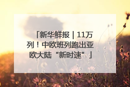新华鲜报｜11万列！中欧班列跑出亚欧大陆“新时速”