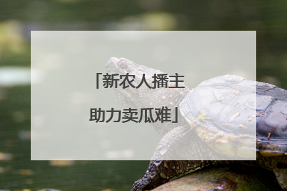 新农人播主 助力卖瓜难