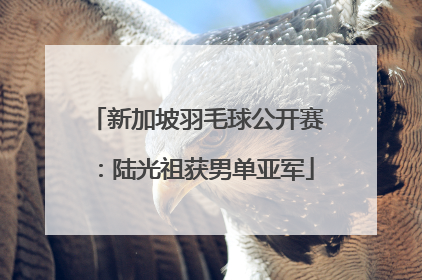 新加坡羽毛球公开赛：陆光祖获男单亚军
