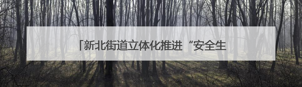新北街道立体化推进“安全生产月”活动 筑牢全域安全网