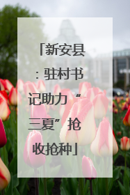 新安县：驻村书记助力“三夏”抢收抢种