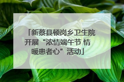 新蔡县顿岗乡卫生院开展“浓情端午节 情暖患者心”活动